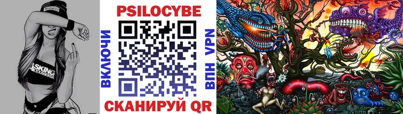 Галлюциногенные грибы Psilocybe  kraken   Чулым  где можно купить  